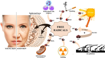 Free-Radicals-CBD-Beauty