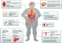 insulin resistance